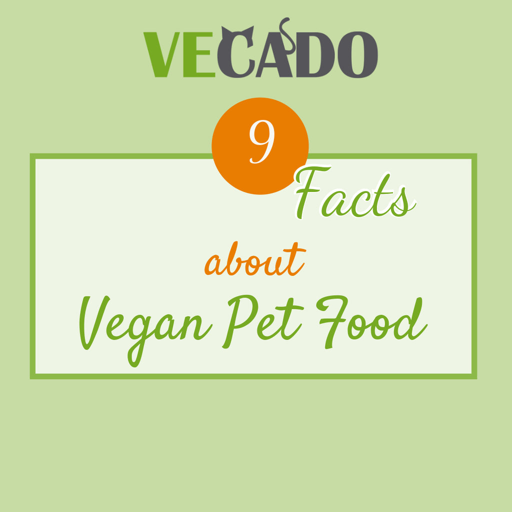 9 cool Facts about Vegan Pet Food