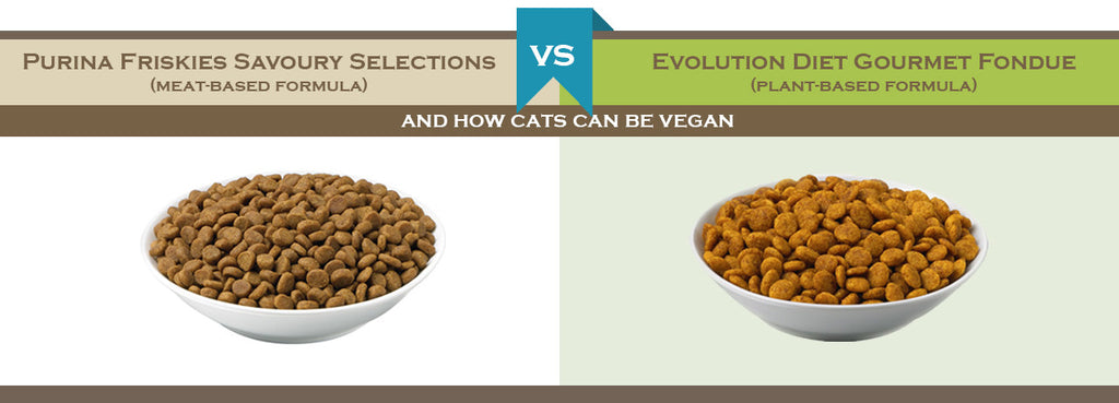 Comparison of meat- and plant-based food for Cats