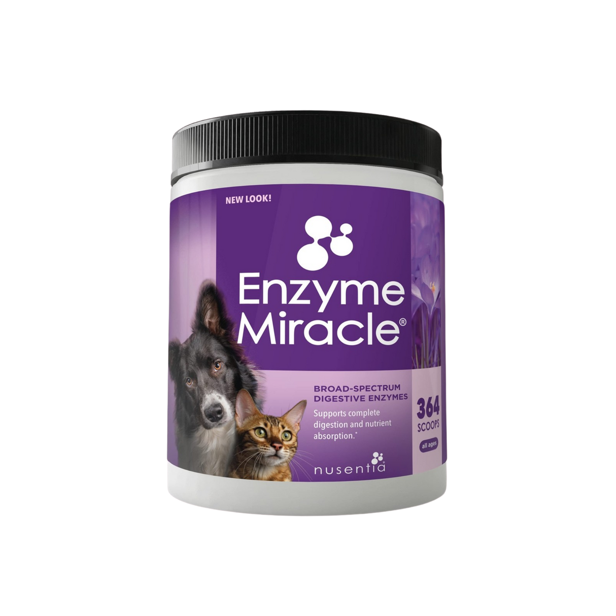 Enzyme Miracle