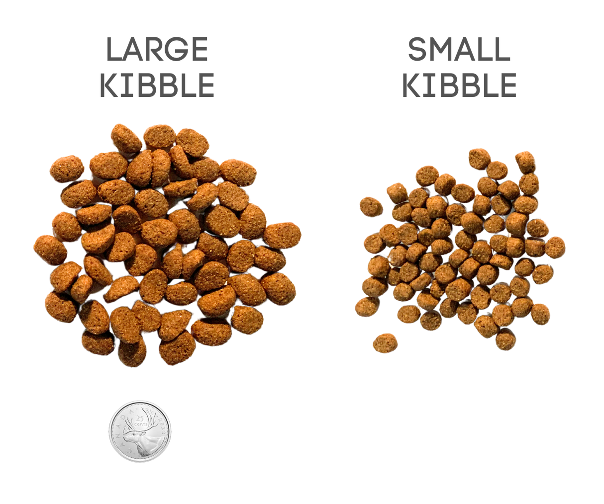 Green Dog - Small Bite