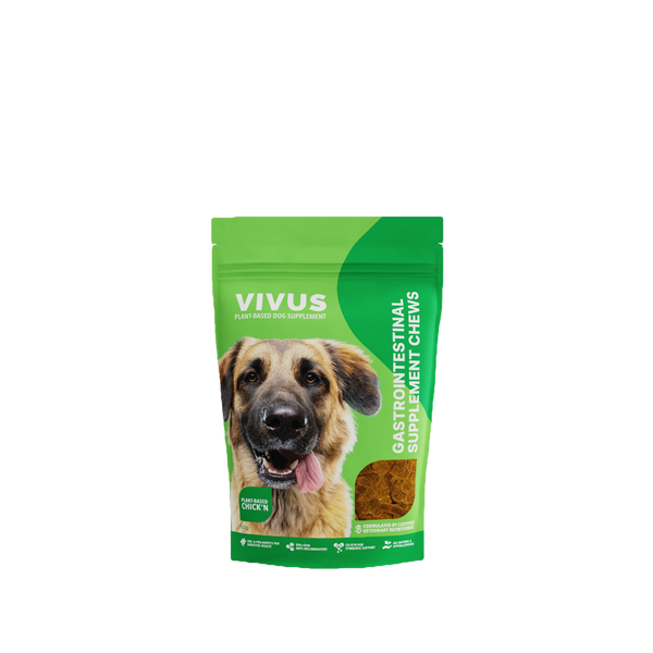 Vivus Gastrointestinal Support Supplement Chews - 100 g