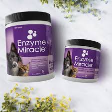 Enzyme Miracle