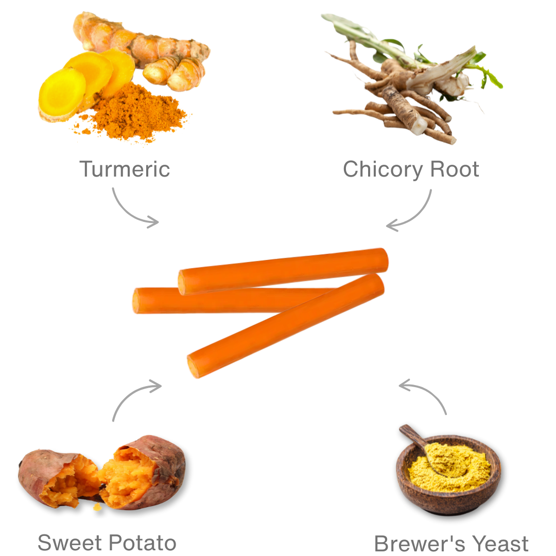 Benevo Pawtato Turmeric & Chicory Root Tubes - 90g