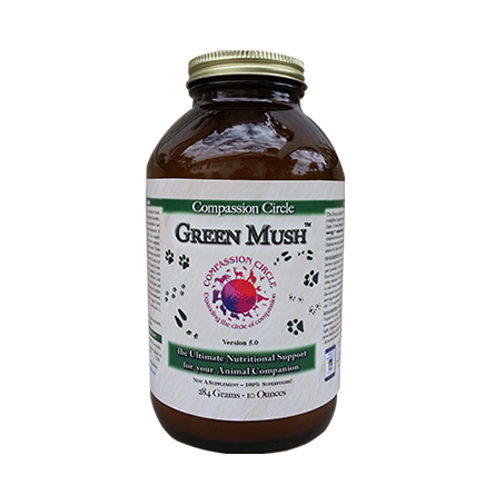 GreenMush™ - The Ultimate Superfood