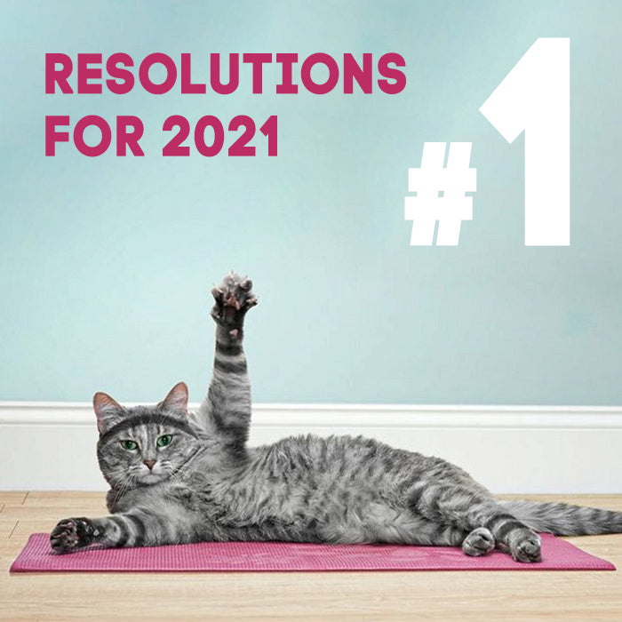 If cats and dogs had New Year Resolutions...
