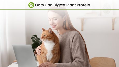 Obligate Carnivores Don’t Need Meat