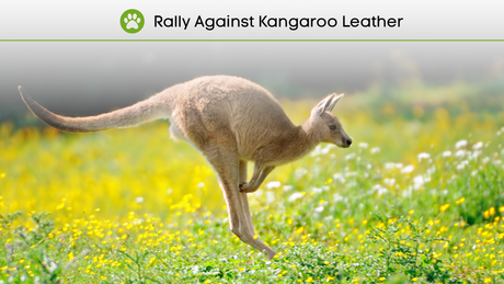Rally Against Kangaroo Leather in Adidas 🦘