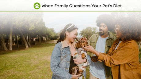 5 Questions Your Friends Ask About Vegan Pet Food