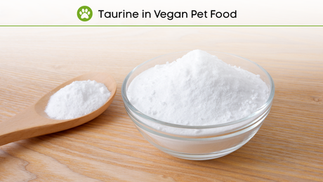 Interesting Facts about Taurine