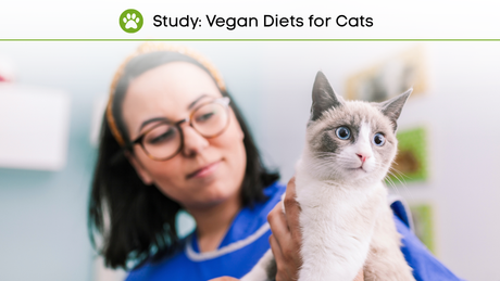 Vegan Cat Food Study Dodd et al. 2021 BMC Veterinary Research