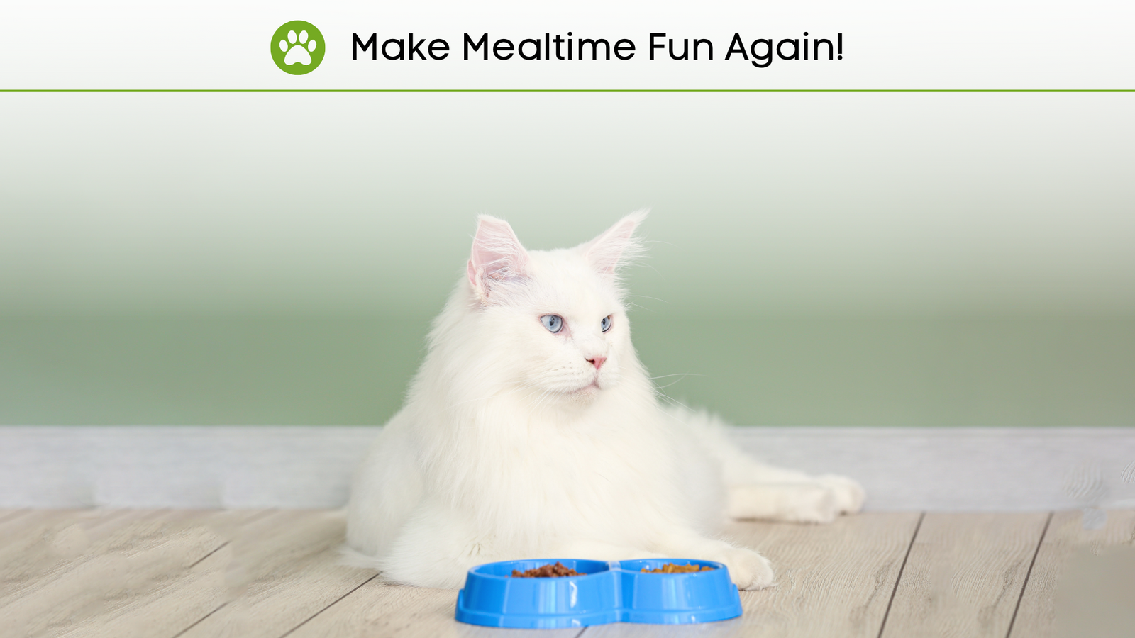 Is your dog or cat a picky eater?