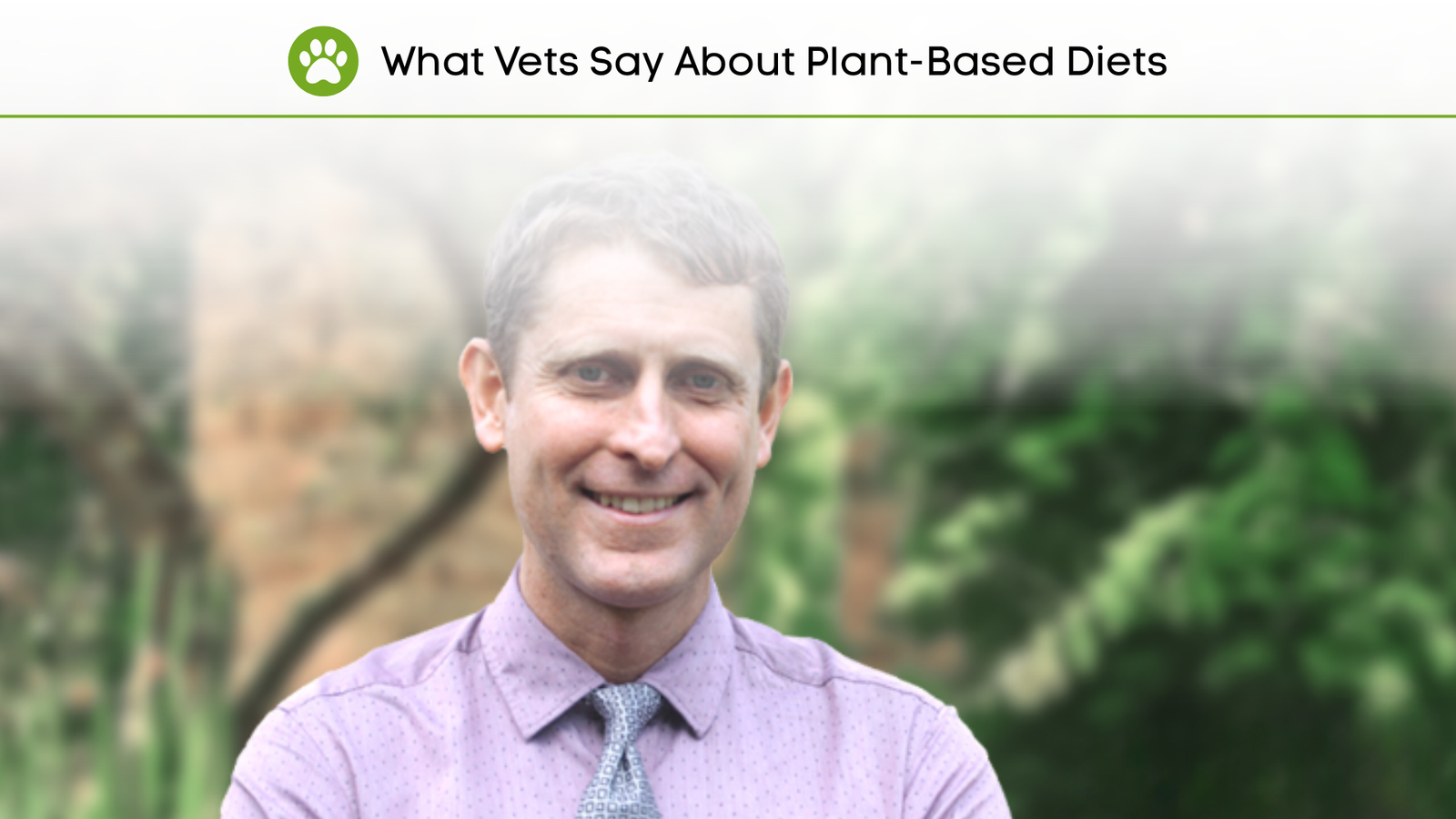 What Do The Vets Say About Plant-Based Pet Diet?