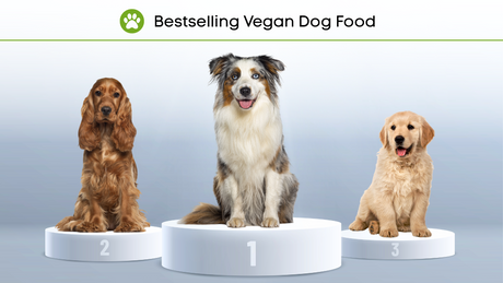 Top 3 Vegan Dog foods at Vecado