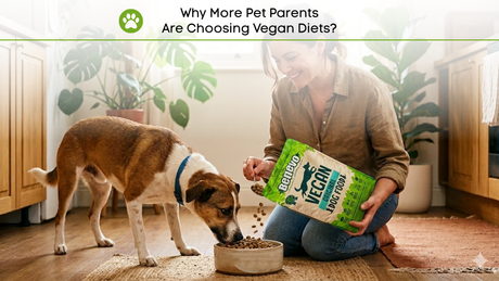 Why More Pet Parents Are Choosing Plant-Based Diets?