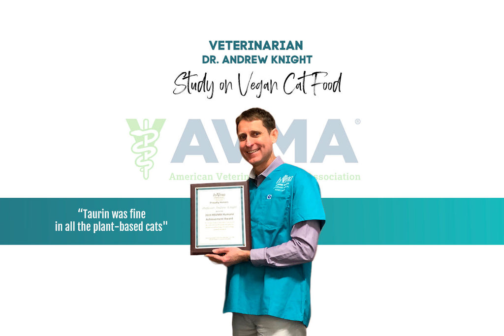 Prof. Andrew Knight reviews Study on Vegan Cat Food