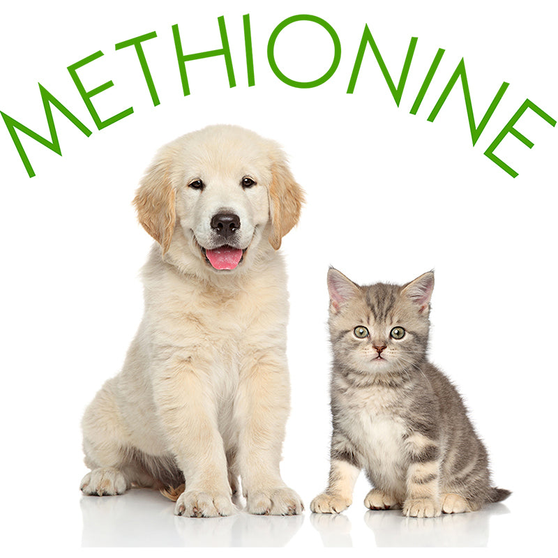 Methionine and Vegan Pet Foods