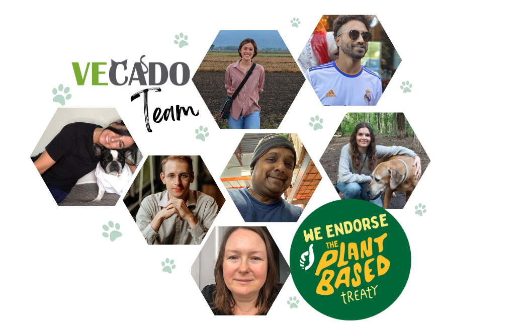 Why We Stand Behind the Plant-Based Treaty: Join Us in Creating a Sustainable Future!