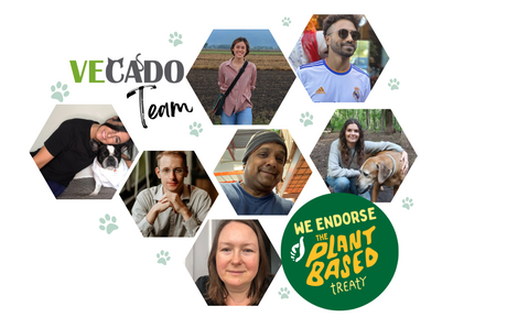 Why We Stand Behind the Plant-Based Treaty: Join Us in Creating a Sustainable Future!