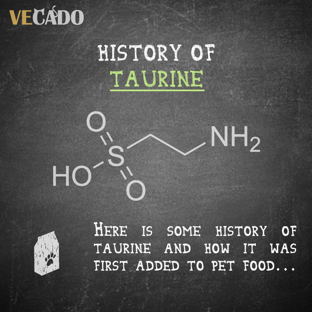 Interesting Facts about Taurine
