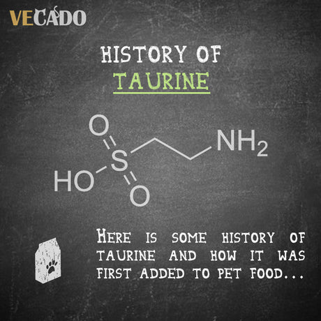 Interesting Facts about Taurine
