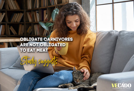 Obligate carnivores are not obligated to eat meat - Study shows high Digestibility of plant ingredients in Cats