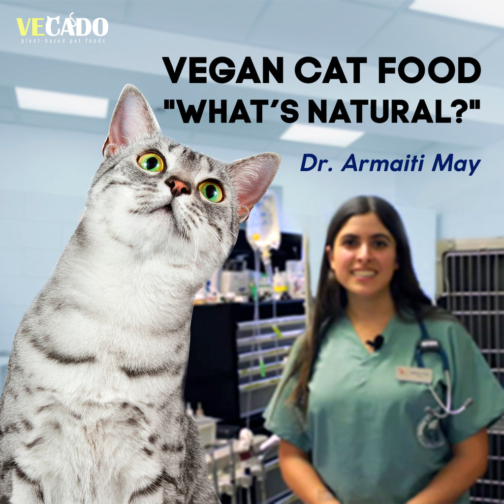 What's Natural? Comment by Veterinarian Dr. Armaiti May