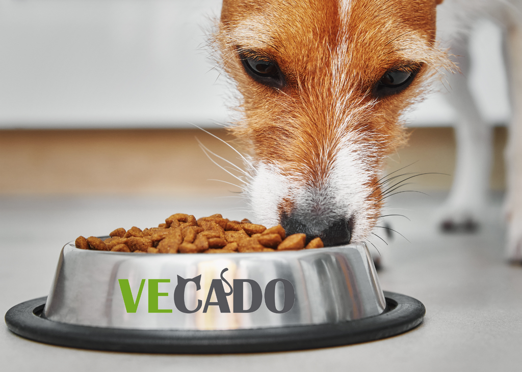 Top 3 Vegan Dog foods at Vecado