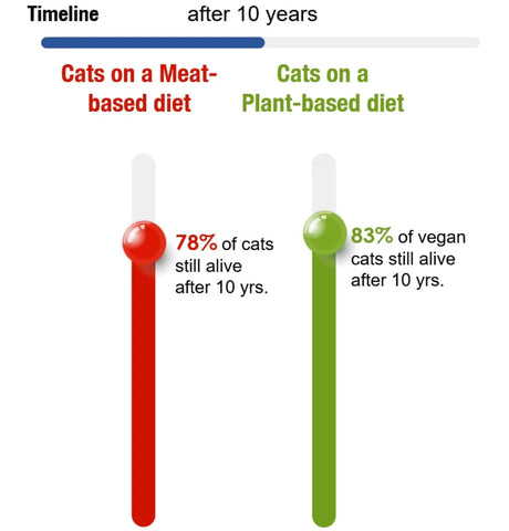 How long do Vegan Cats live? 🕒