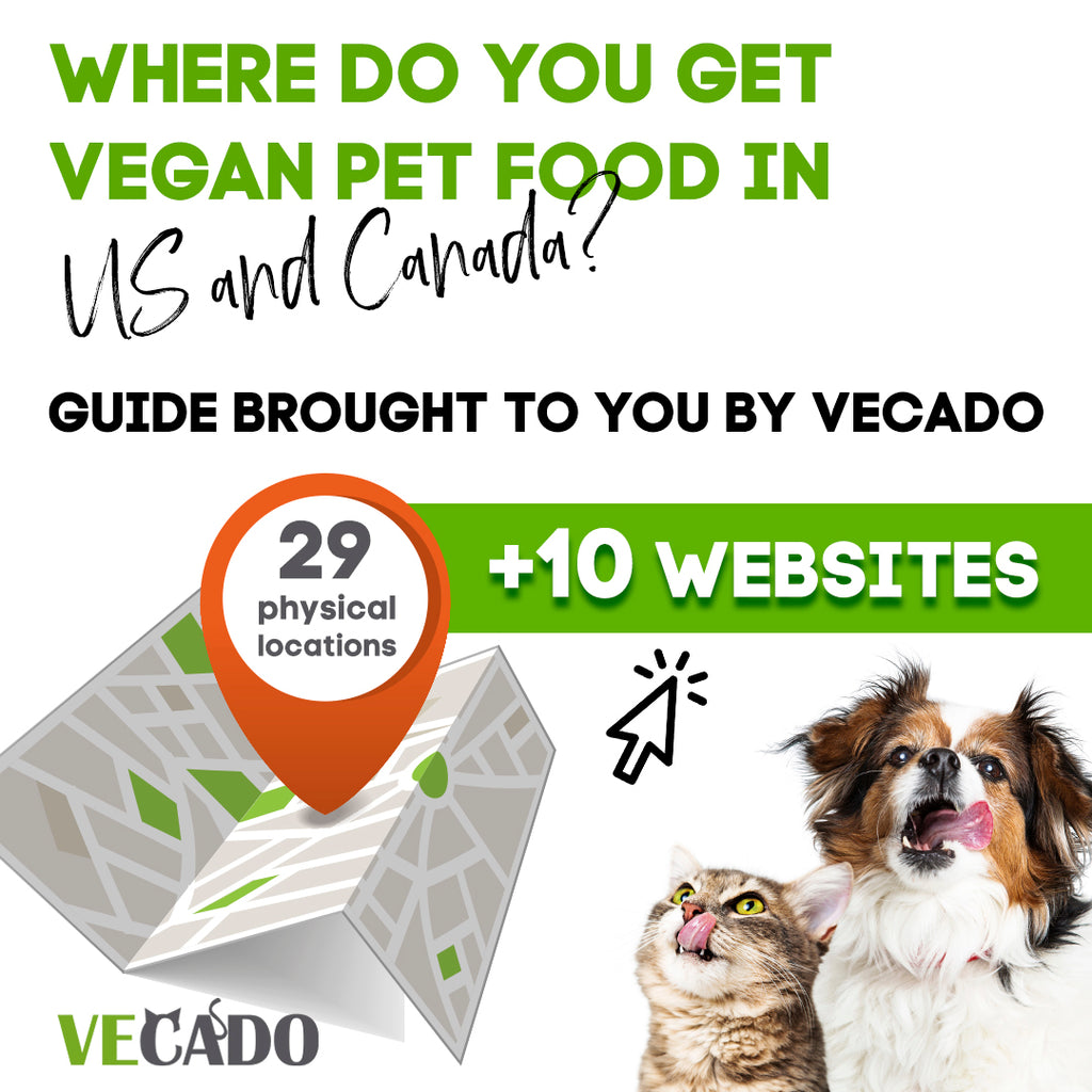 Where to Get Vegan Pet Food in US and Canada