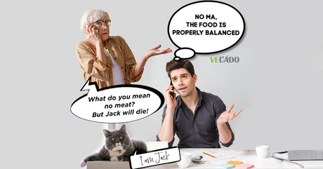 5 ways to explain to family and friends why my cat/dog is now vegan