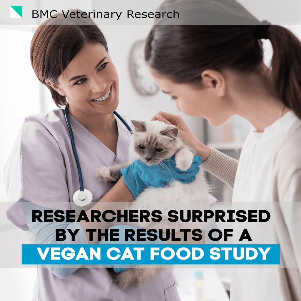 Vegan Cat Food Study Dodd et al. 2021 BMC Veterinary Research