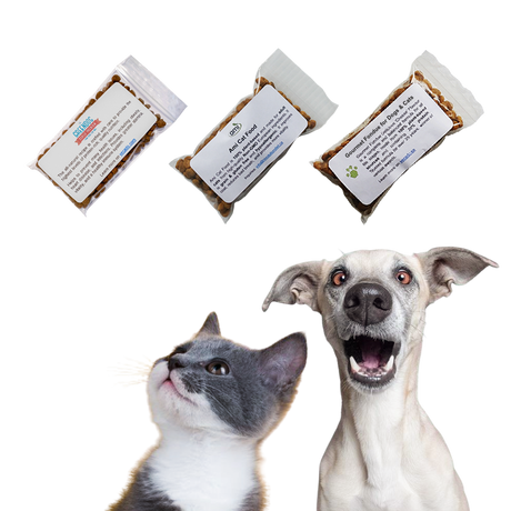 Free Vegan Samples for Dogs, Cats and Puppies
