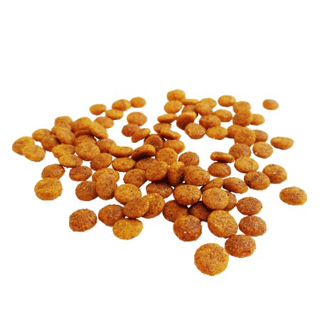 Vegan Dry Food for Dogs, Cats and Puppies