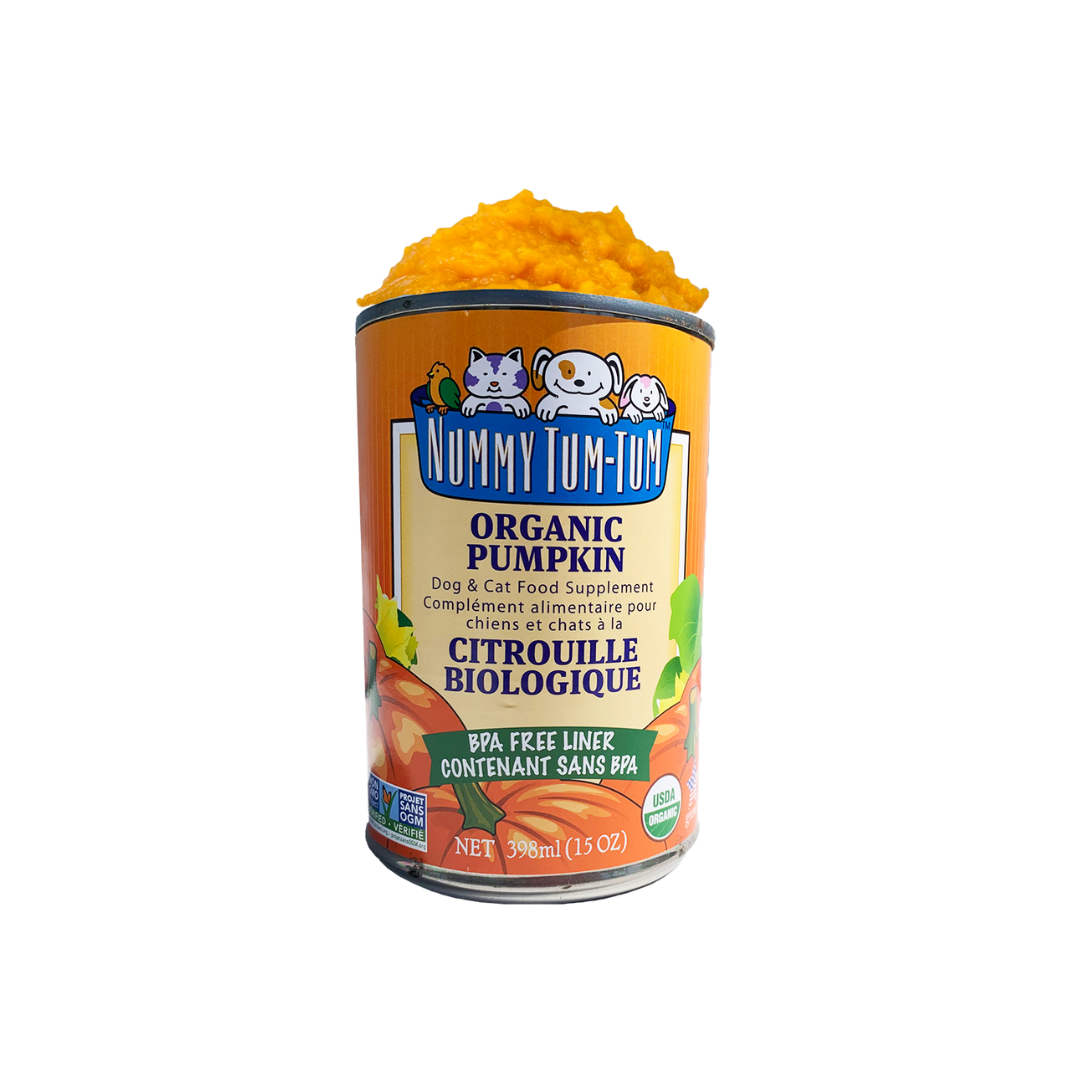 Nummy Tum Tum Moist Food for Dogs and Cats - Organic Pumpkin