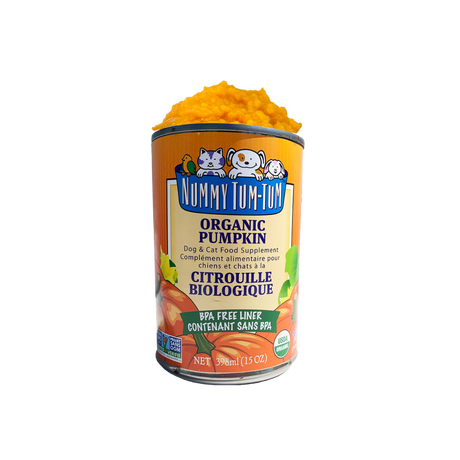 Nummy Tum Tum Moist Food for Dogs and Cats - Organic Pumpkin