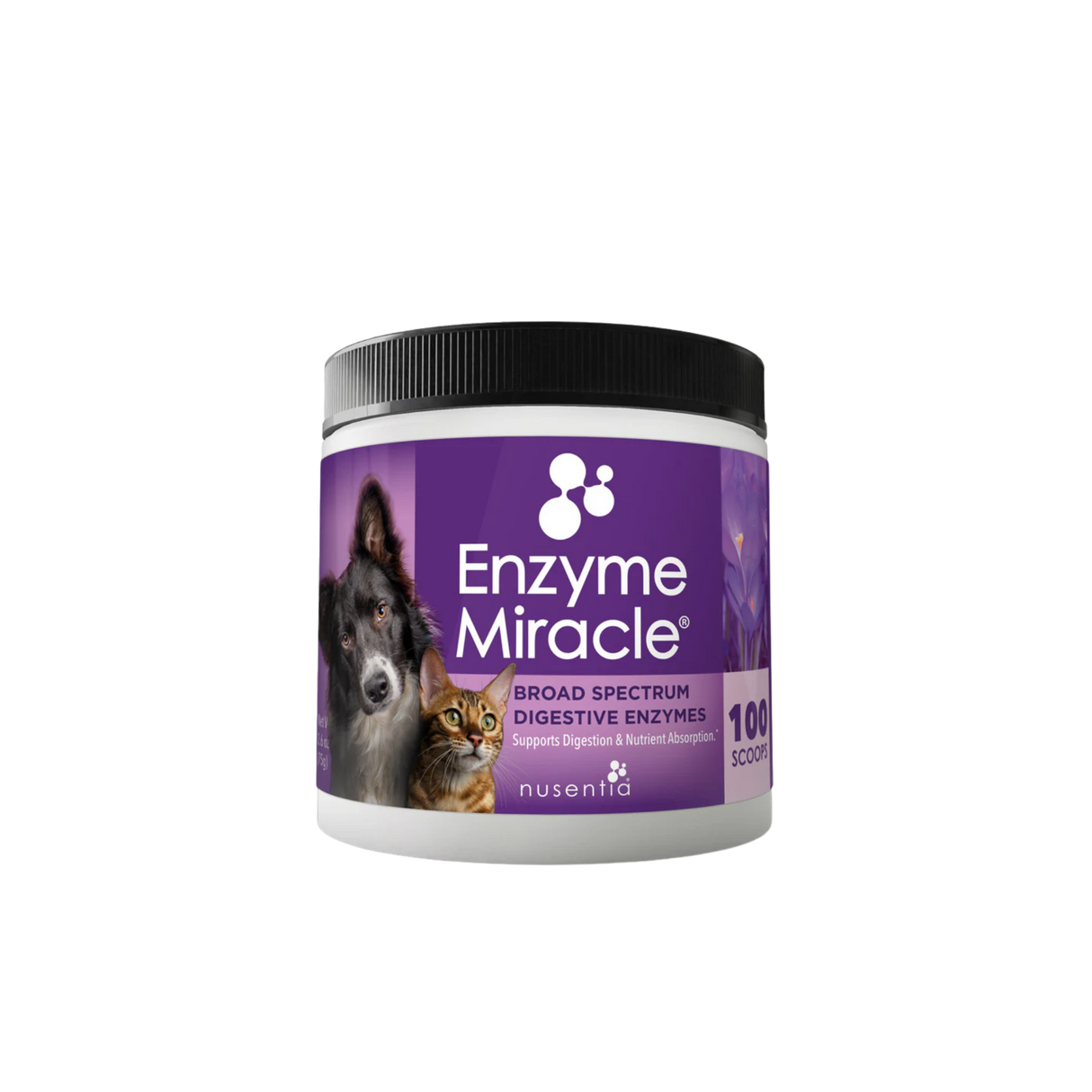 Enzyme Miracle