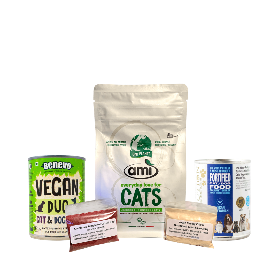 Ami Sample with Cans for Cats