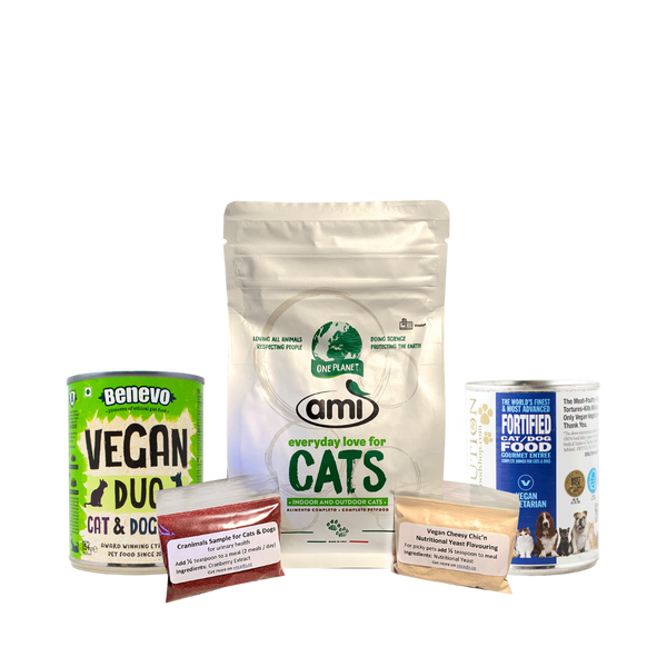 Ami Sample with Cans for Cats