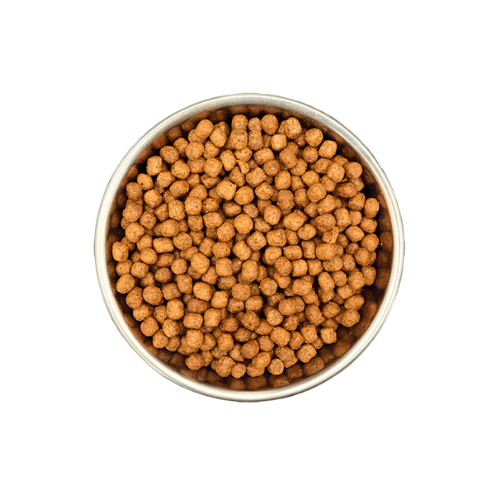 Benevo Puppy Original