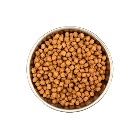 Benevo Puppy Original