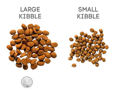 Green Dog - Small Bite