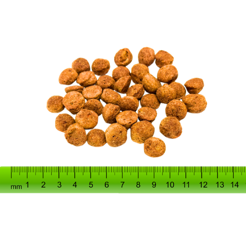 Plantz Garden Goodness Senior Kibble