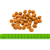 Plantz Garden Goodness Junior & Adult Kibble