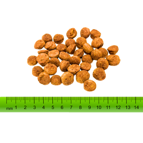 Plantz Garden Goodness Junior & Adult Kibble