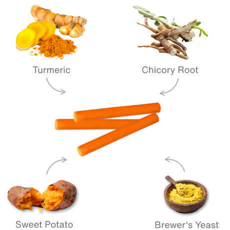 Benevo Pawtato Turmeric & Chicory Root Tubes - 90g