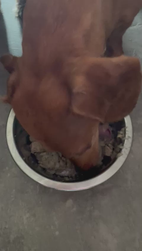 Plantz Wild Game Vegan Moist Food - 10-pack