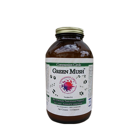 GreenMush™ - The Ultimate Superfood