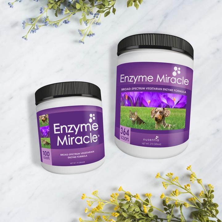 Enzyme Miracle