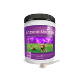 Enzyme Miracle