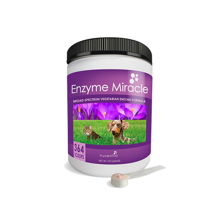 Enzyme Miracle